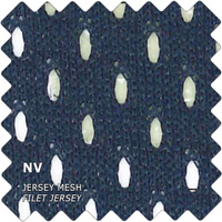 jersey_mesh