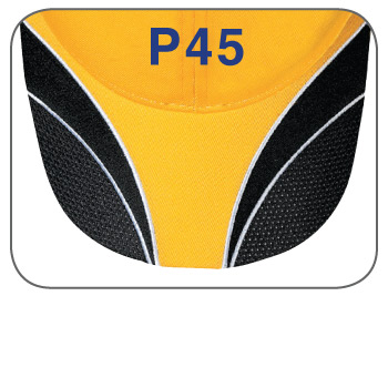 p45