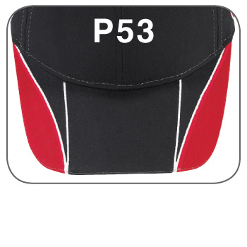 p53