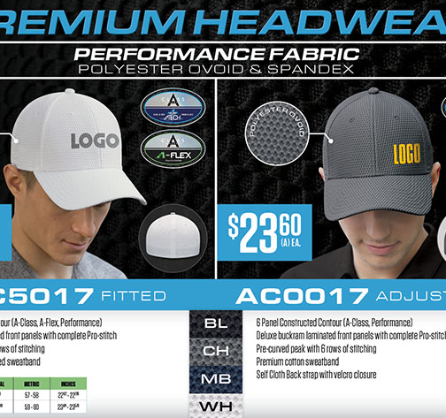FLYER_303_En 