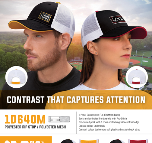 FLYER_333_En 